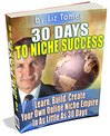 Thumbnail 30 Days To Niche Success