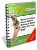 Thumbnail Dog Shock Collars - Everything You Need To Know