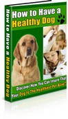 Thumbnail How to Have a Healthy Dog