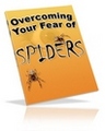 Thumbnail Overcome Your Fear of Spiders