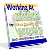 Thumbnail Working At Home for 21st Century Moms