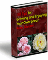 Thumbnail 101 Tips for Growing and Enjoying Your Own Great Rose Garden Thumbnail 101 Tips for Growing and Enjoying Your Own Great Rose Garden