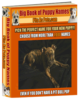 Product picture BIG Book of Puppy Names