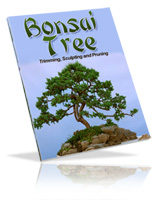 Product picture Bonsai Tree Trimming, Sculpting and Pruning