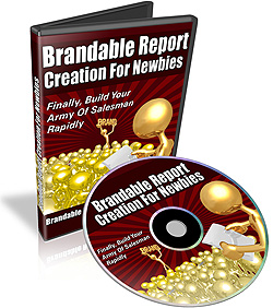 Product picture Brandable Report Creation For Newbies
