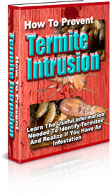 Product picture How To Prevent Termite Intrusion