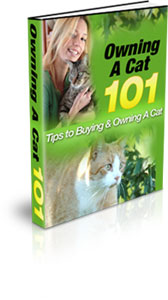 Product picture Owning A Cat 101 - Tips to Buying & Owning A Cat!