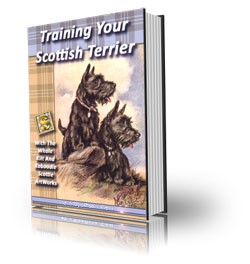 Product picture Training Your Scottish Terrier