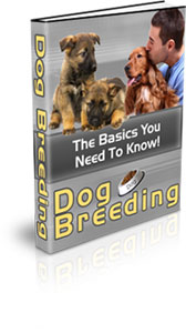 Product picture Dog Breeding - What You Need To Know!