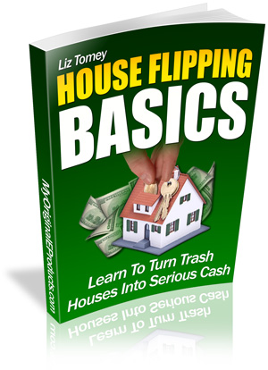 Product picture House Flipping Basics