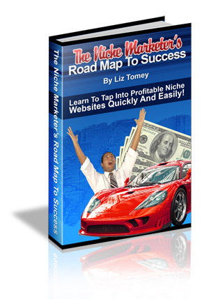 Product picture The Niche Marketers Road Map To Success - Tap Into The Prof